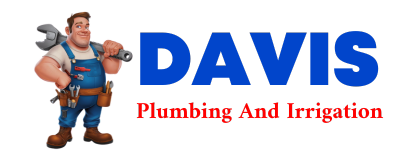 Trusted plumber in AGENDA